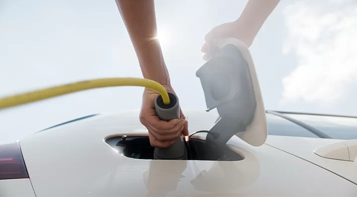 electricien collioure